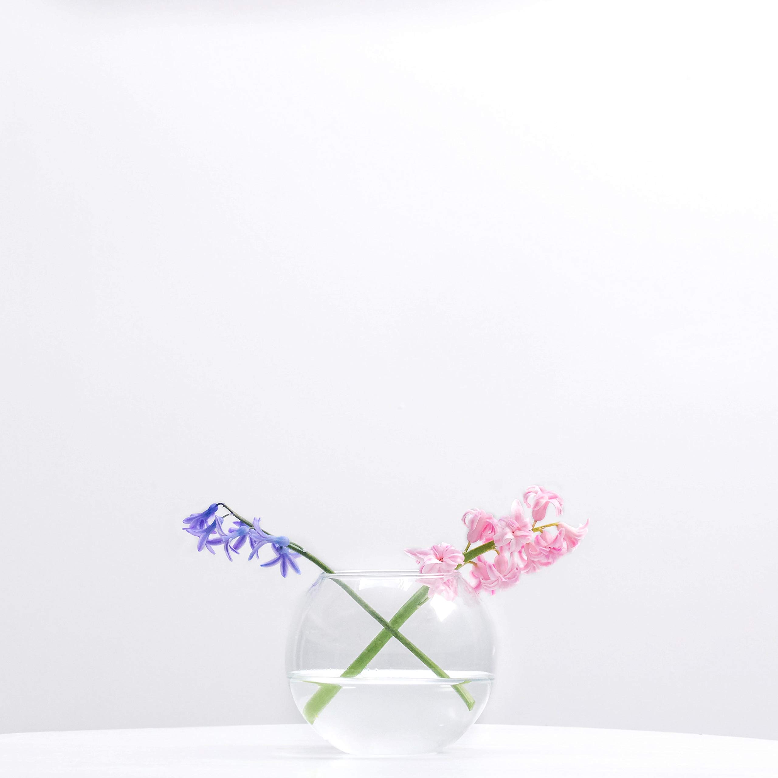 6 Inch Clear Glass Bubble Bowl Vase - 5