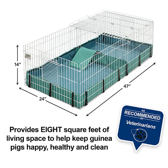 MidWest Guinea Pig Cage - Spacious Guinea Habitat Plus with Top Access Door for Small Pets | Perfect for Indoor & Outdoor Use, Playtime & Safe Enclosure