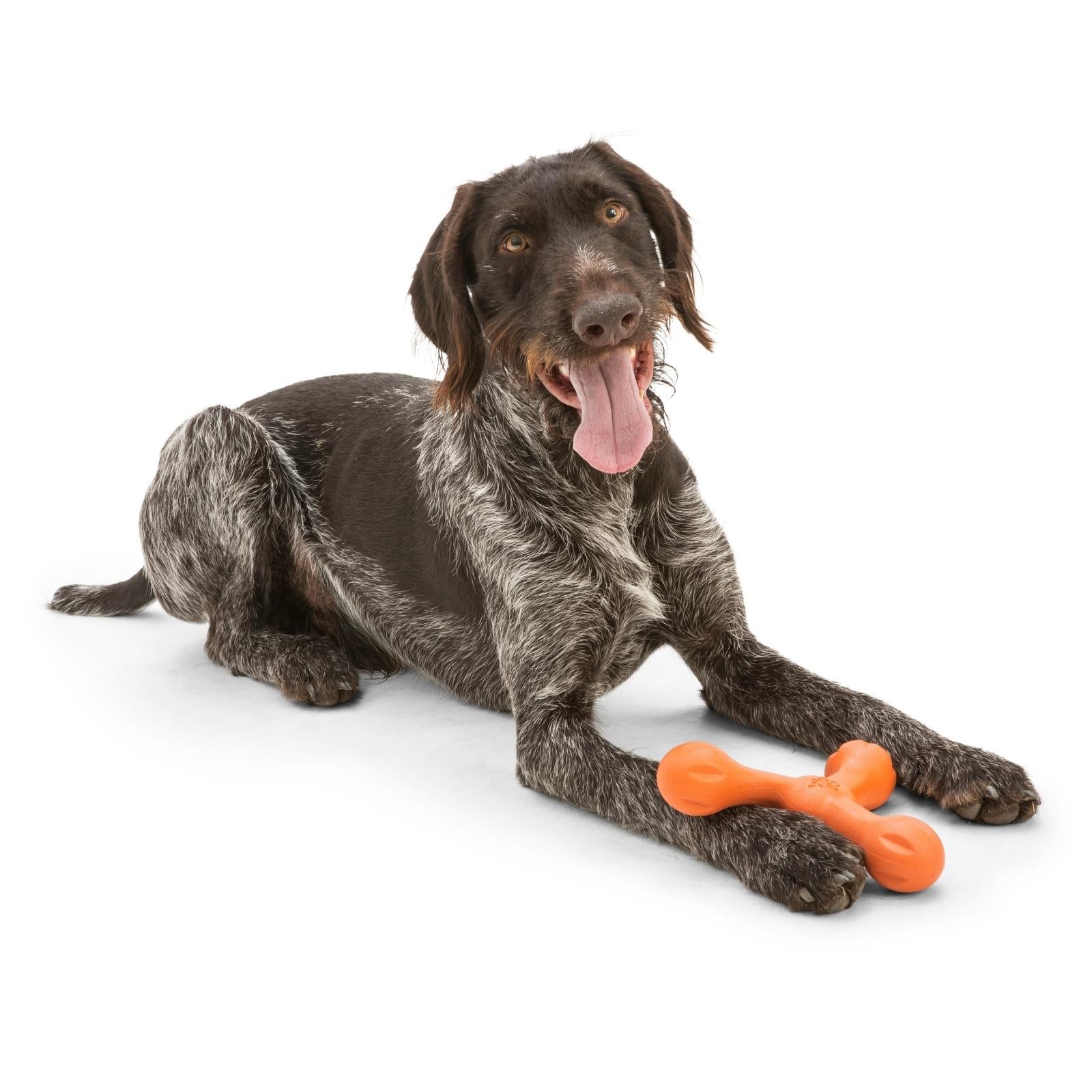 West Paw® SKAMP Dog Toy - Soft Chew Toy for Dogs, Durable & Safe, Orange Color - Perfect for Playtime, Training & Teething Puppies