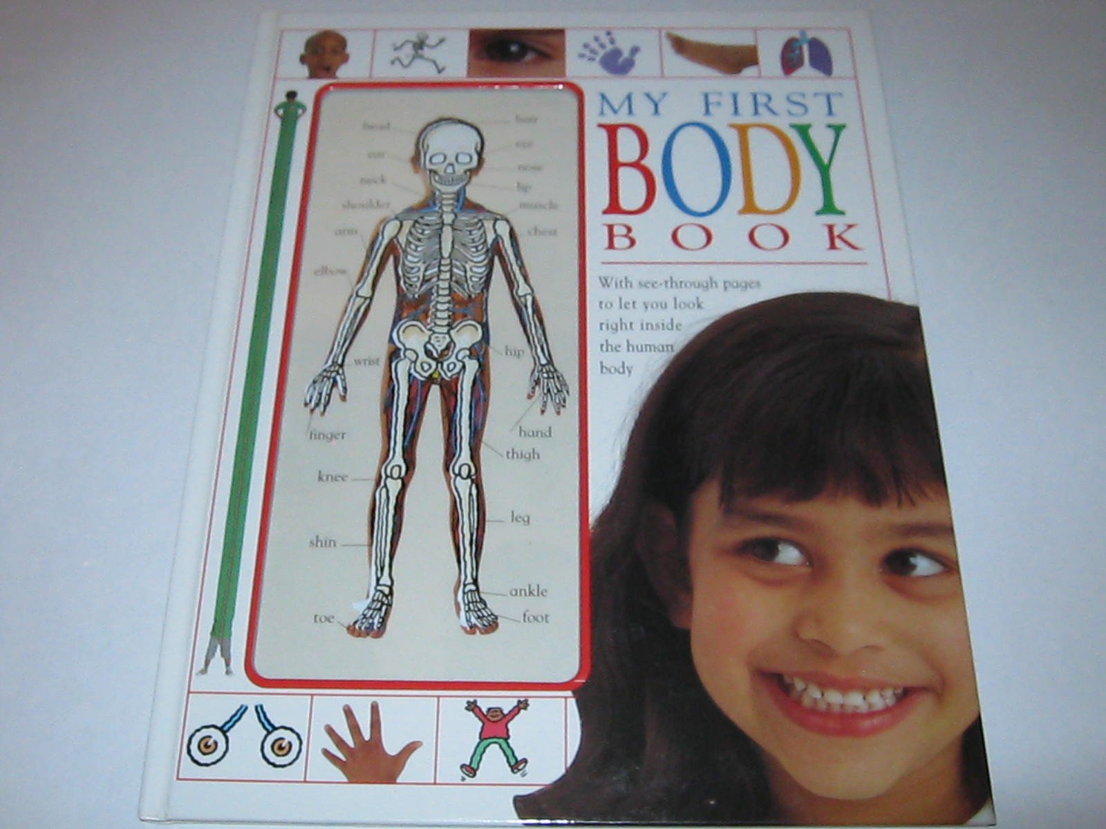 My First Body Book - DK My First Books | Educational Anatomy for Kids | Perfect for Homeschooling & Early Learning