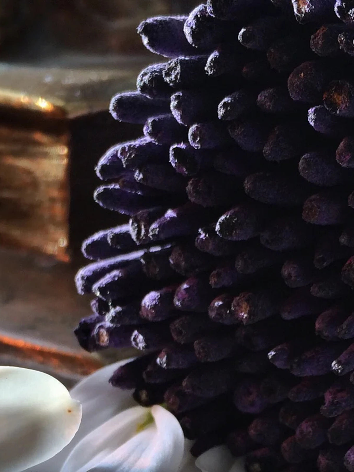 Premium Sacred Elephant Incense with Blue Lotus - Handmade Spiritual Aromatherapy for Meditation, Yoga & Relaxation - Perfect for Home, Temple & Wellness Spaces