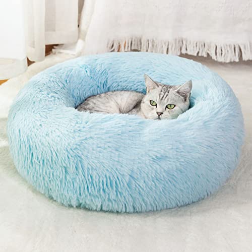 Shag Baby Blue