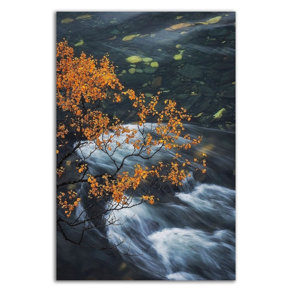 Abisko Autumn Birch by Hans Logren - Premium Canvas Wall Art Print - Ready to Hang - Perfect for Living Room, Bedroom & Office Decor