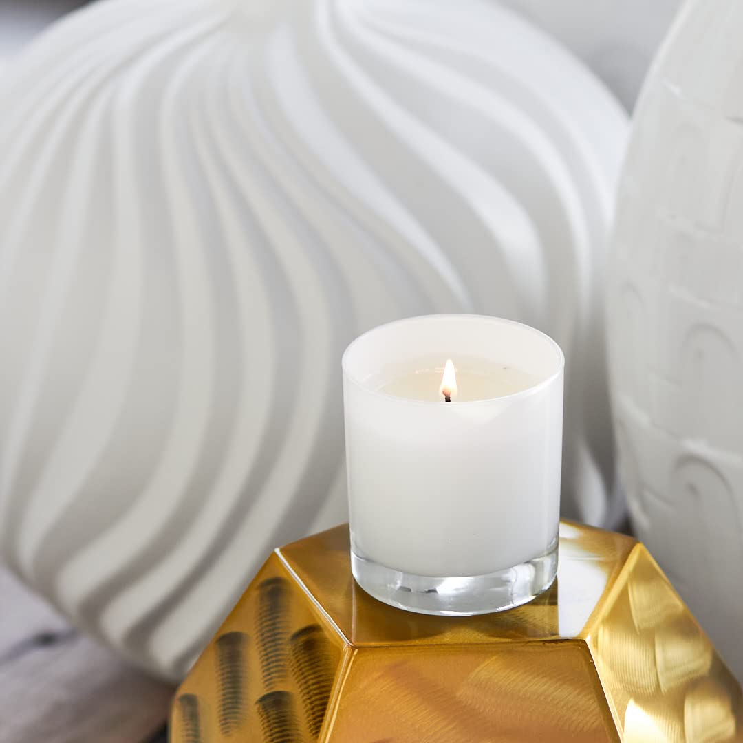 Trapp No. 73 Vetiver Seagrass 7 oz Aromatic House Box Candle - Fresh Ozone, Satsuma Mandarin & Vetiver Scent - Petrolatum Wax for Home Fragrance | Perfect for Living Room, Bedroom & Bathroom Relaxation