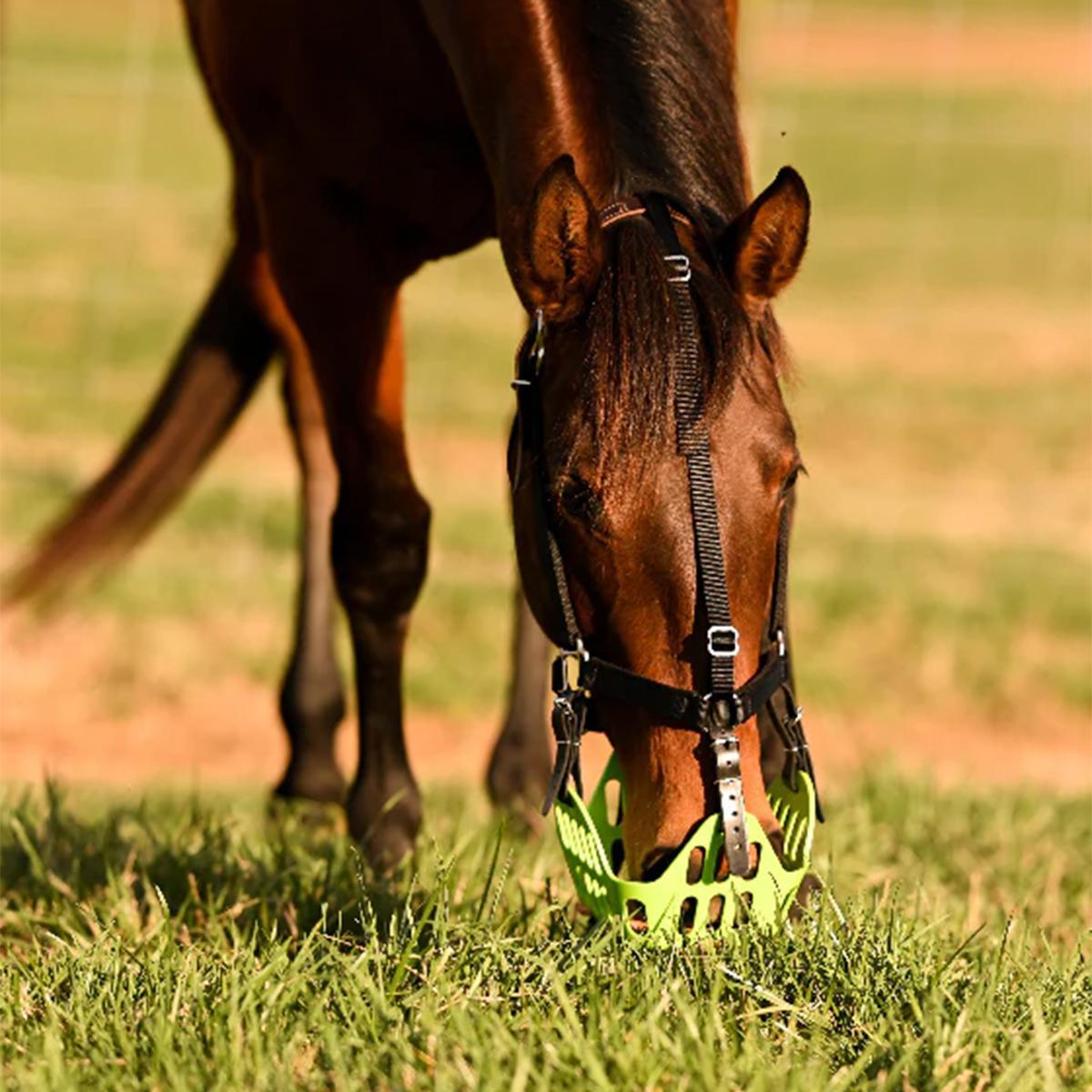 GG Equine GreenGuard Grazing Muzzle - Breathable Horse Grazing Mask for Pasture & Turnout, Prevents Overeating & Weight Gain - Perfect for Ponies, Mini Horses & Easy Keepers