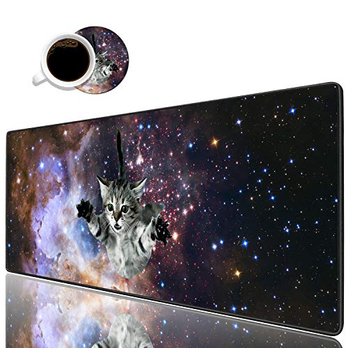 Galaxy Fly Cat