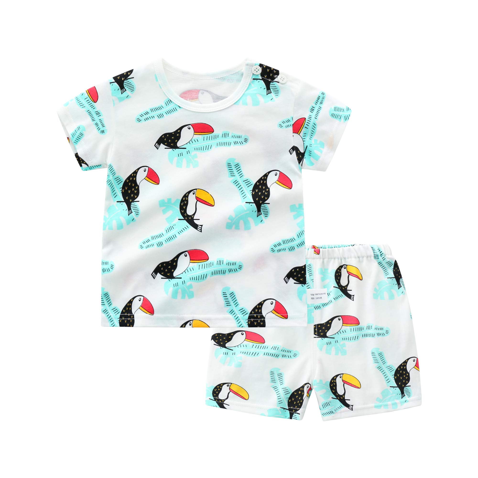 Vinesen 2-Piece Baby Clothes Set - 100% Cotton Short Sleeve Top & Shorts Outfit for Newborns & Toddlers | Soft & Breathable Summer Wear for Playtime, Daycare & Outdoor Activities
