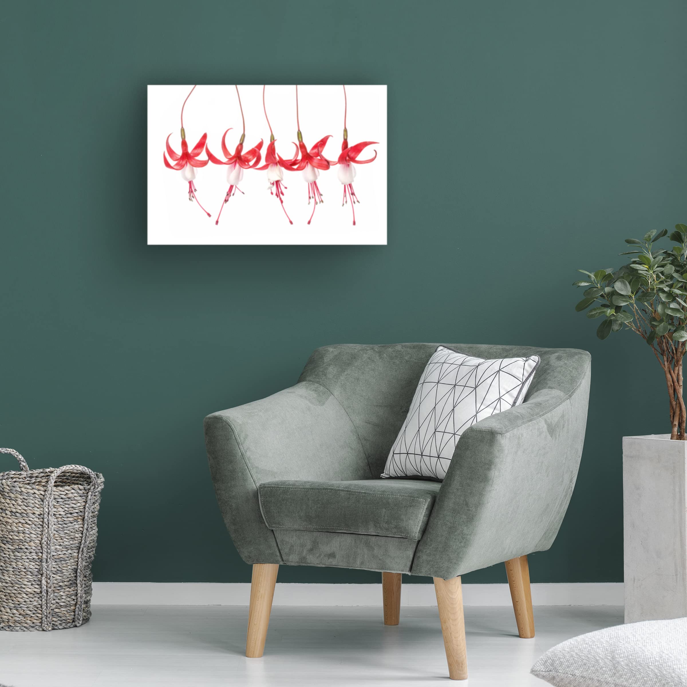 Trademark Fine Art 'Fuchsia' Canvas Wall Art by Mandy Disher - Vibrant Floral Painting for Living Room, Bedroom & Office Decor