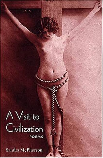 A Visit to Civilization - Wesleyan Poetry Series | Contemporary Poetry Book for Literature Lovers | Perfect for Book Clubs & Academic Study
