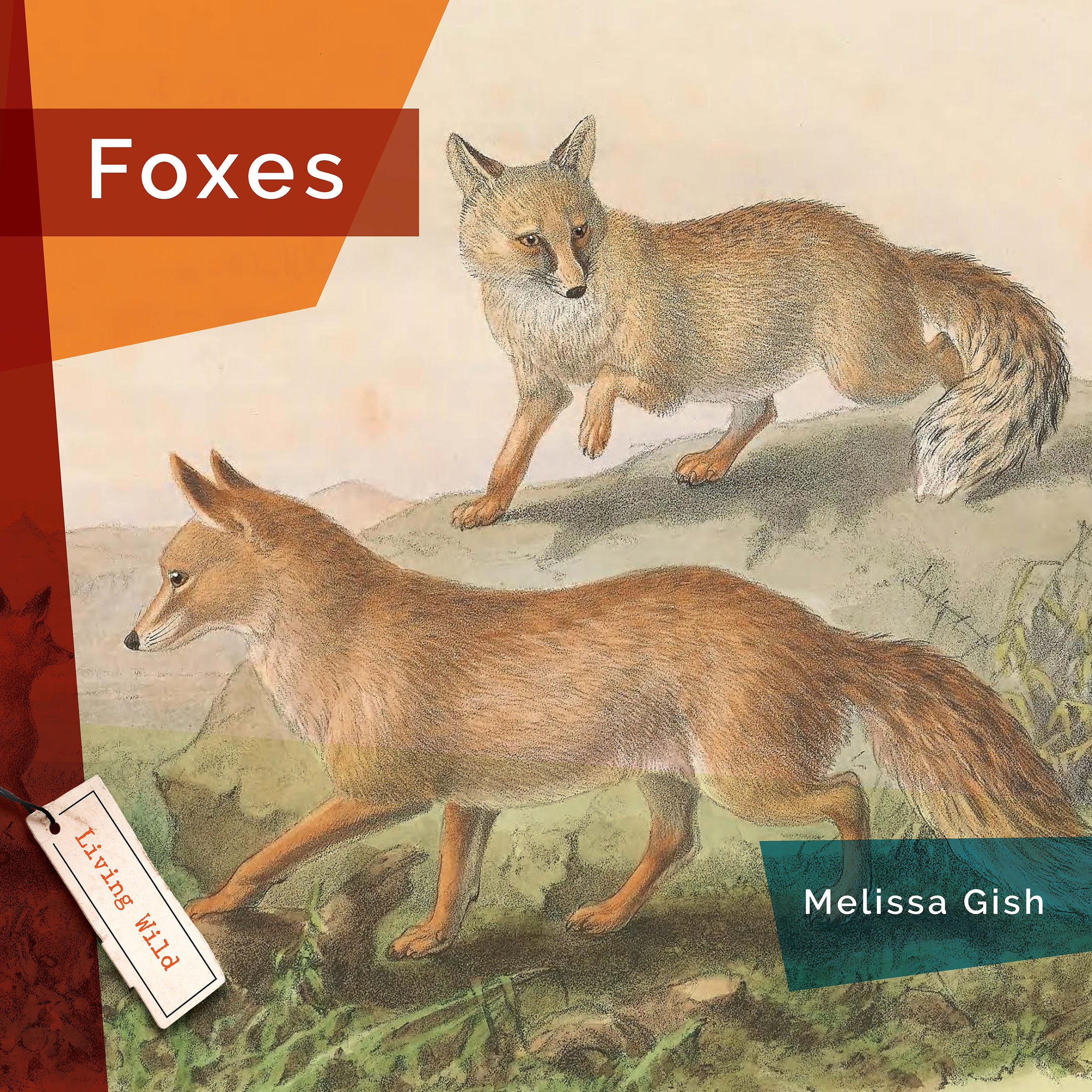 Foxes Book 9781640267824 - Wildlife Nature Guide for Animal Lovers & Outdoor Enthusiasts | Perfect for Hiking, Camping, and Nature Exploration
