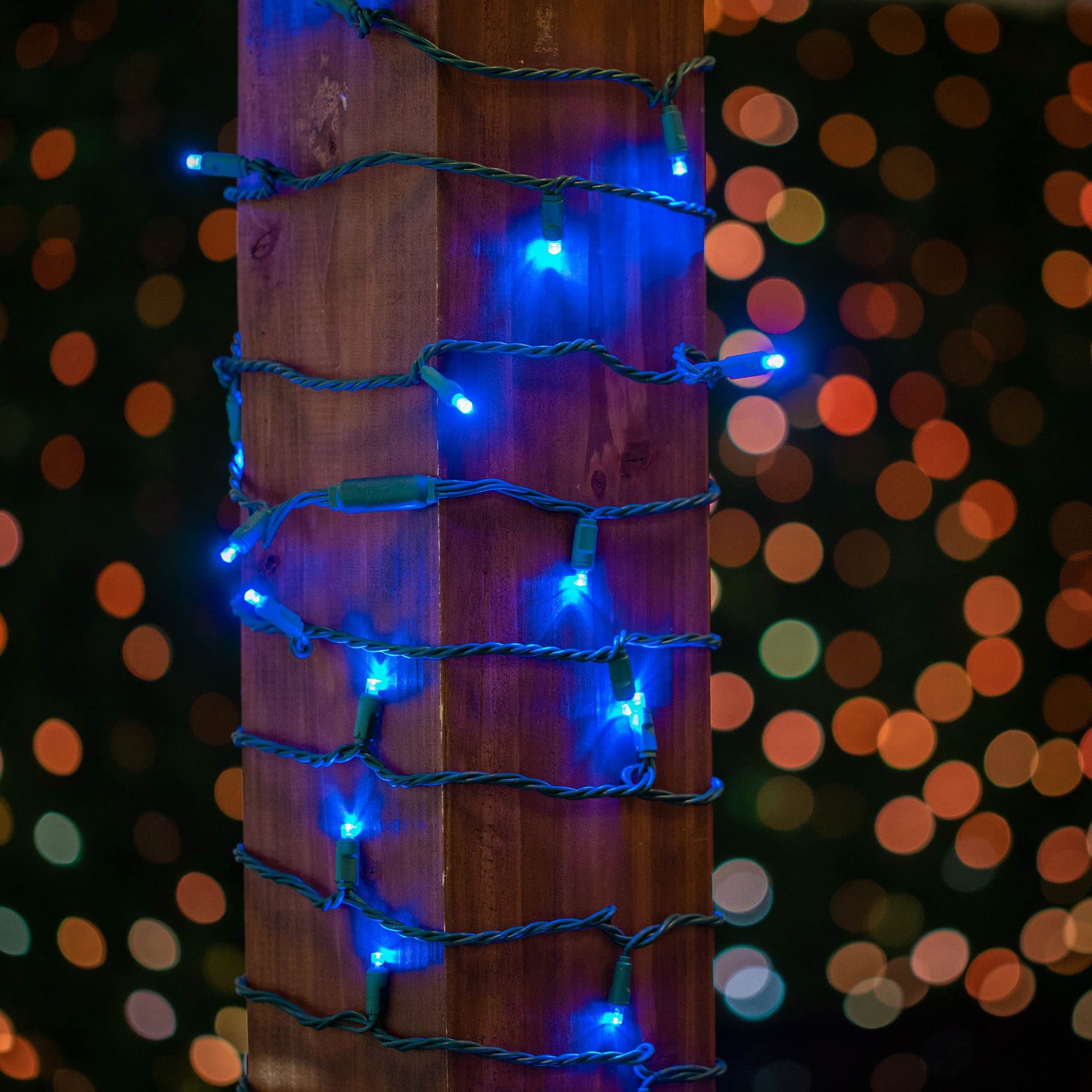 50 LED Christmas Mini Lights - Outdoor String Lights for Party, Patio, Garden (Blue & Green Wire, 11ft) | Perfect for Holiday Decorations, Backyard Events & Nighttime Ambiance