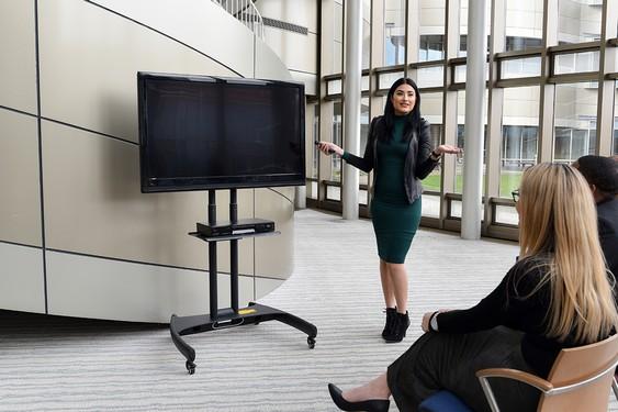 Adjustable Height Rolling Flat Panel Cart with Accessory Shelf - Mobile Workstation for Office, Classroom, or Home Organization - Luxor Brand