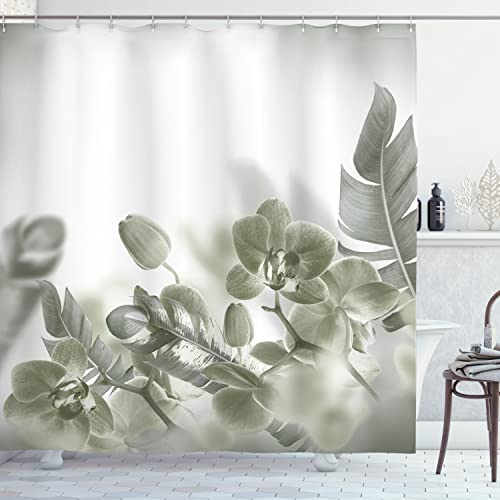 Dimgray White