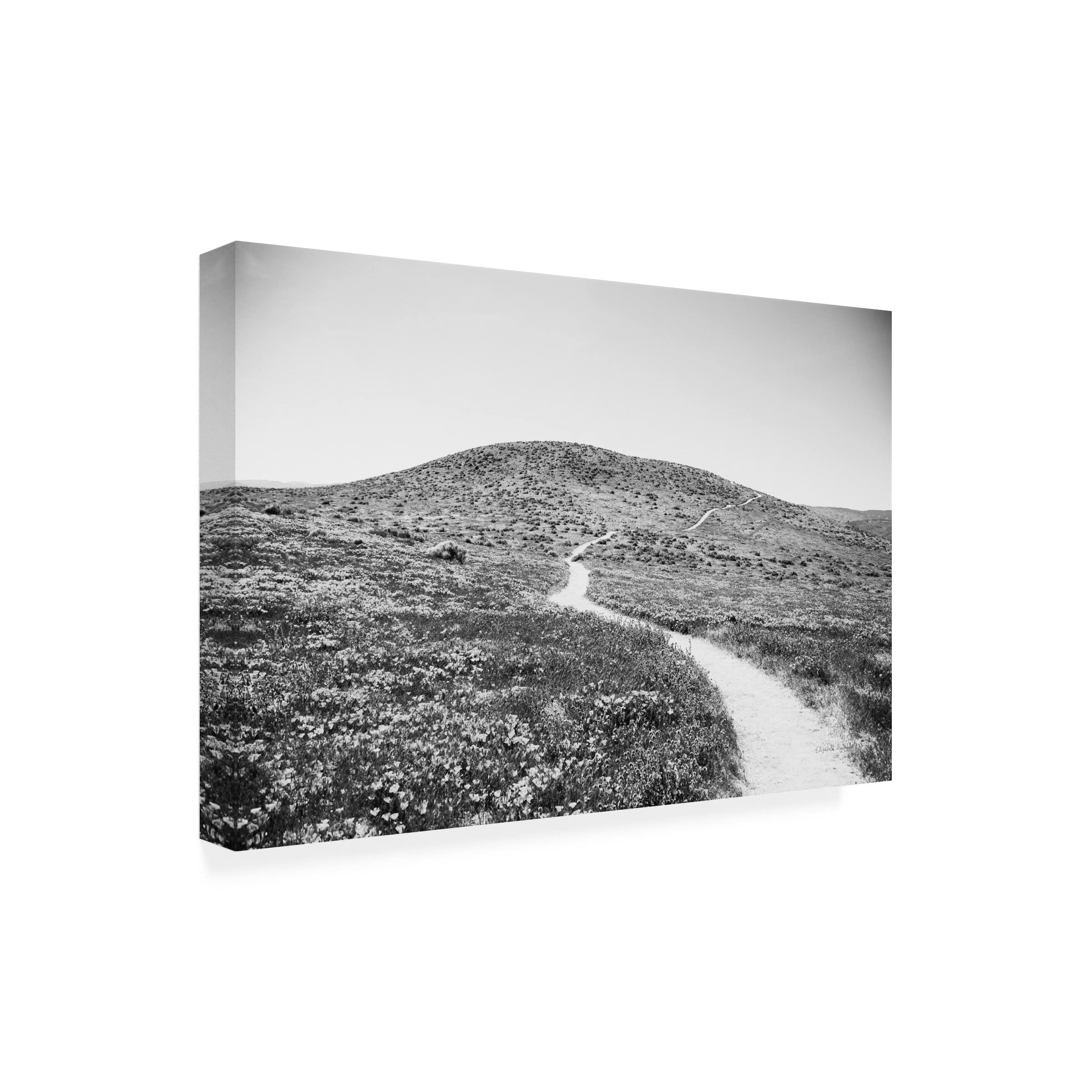 Road Trip V Canvas Art by Elizabeth Urquhart - Wall Decor for Living Room