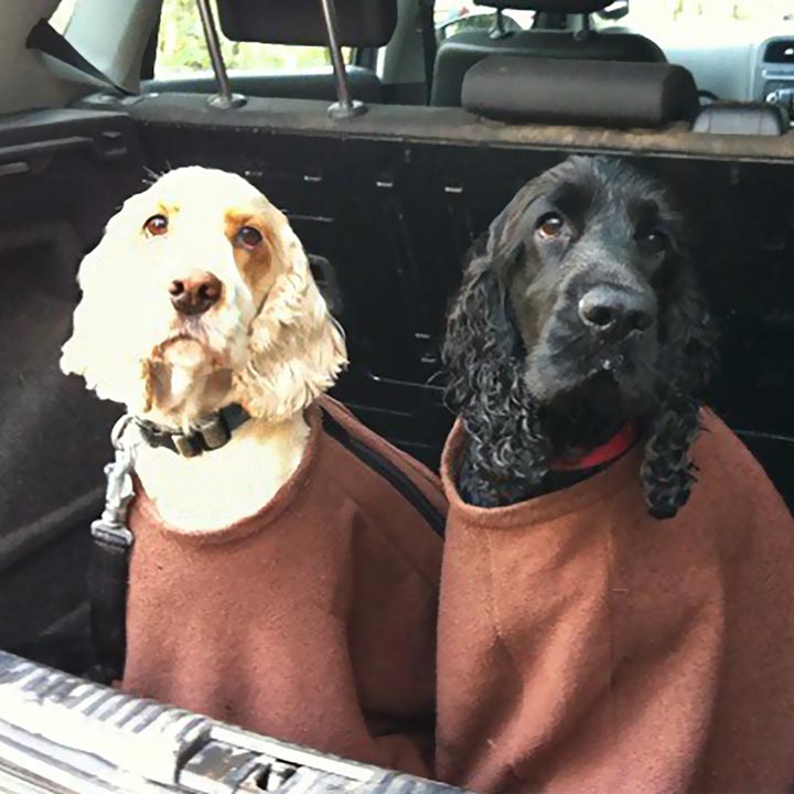 Eco-Friendly Doggy Bags for Pet Waste - Biodegradable Poop Bags for Dogs, Perfect for Walks, Hikes & Travel