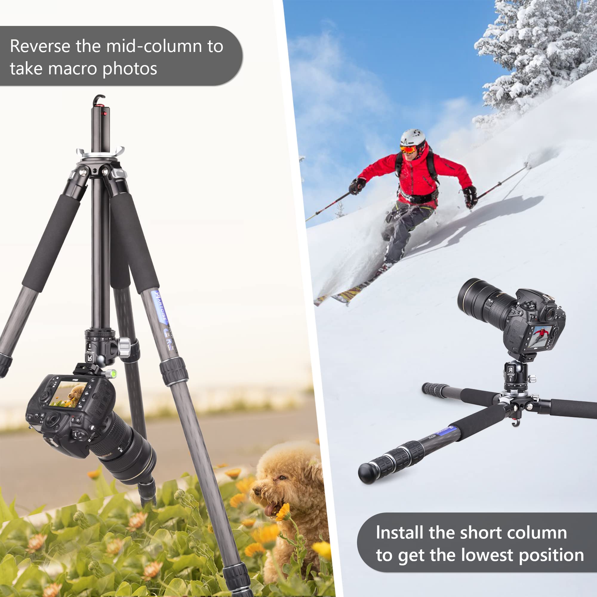 ARTCISE NS75C Professional Carbon Fiber Camera Tripod - 36mm Low Profile Ball Head, Special-Shaped Center Column, 10-Layer Carbon Fiber Legs, 28mm Tube Diameter, 44lbs/20kg Max Load - Perfect for Travel, Landscape & Studio Photography