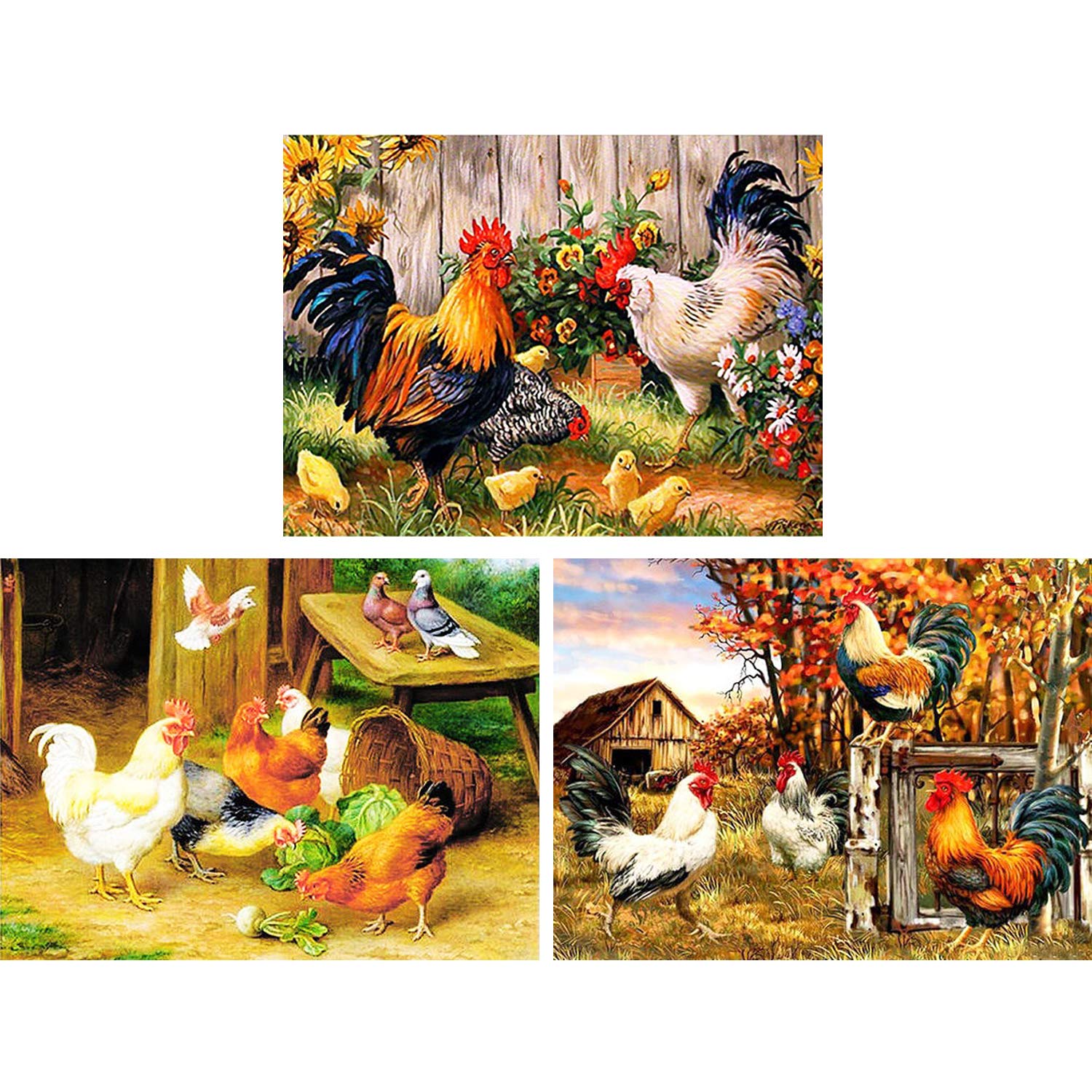 HaiMay 3 Pack DIY 5D Diamond Painting Kits - Full Drill Rhinestone Art for Home Wall Decor (10×12 Inch Canvas) - Chicken Diamond Pictures for Living Room, Bedroom & Gift Giving