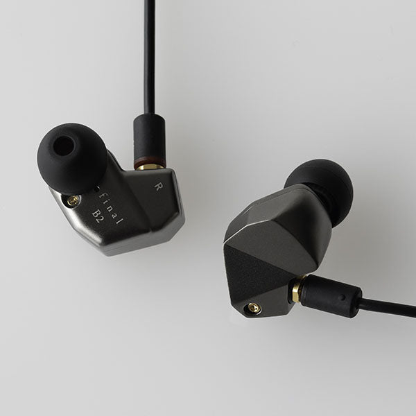 Final Audio B2 Single Balanced Armature Driver Earphones with Free Glow in the Dark Tips - Premium Sound for Audiophiles, Music Lovers & Commuters
