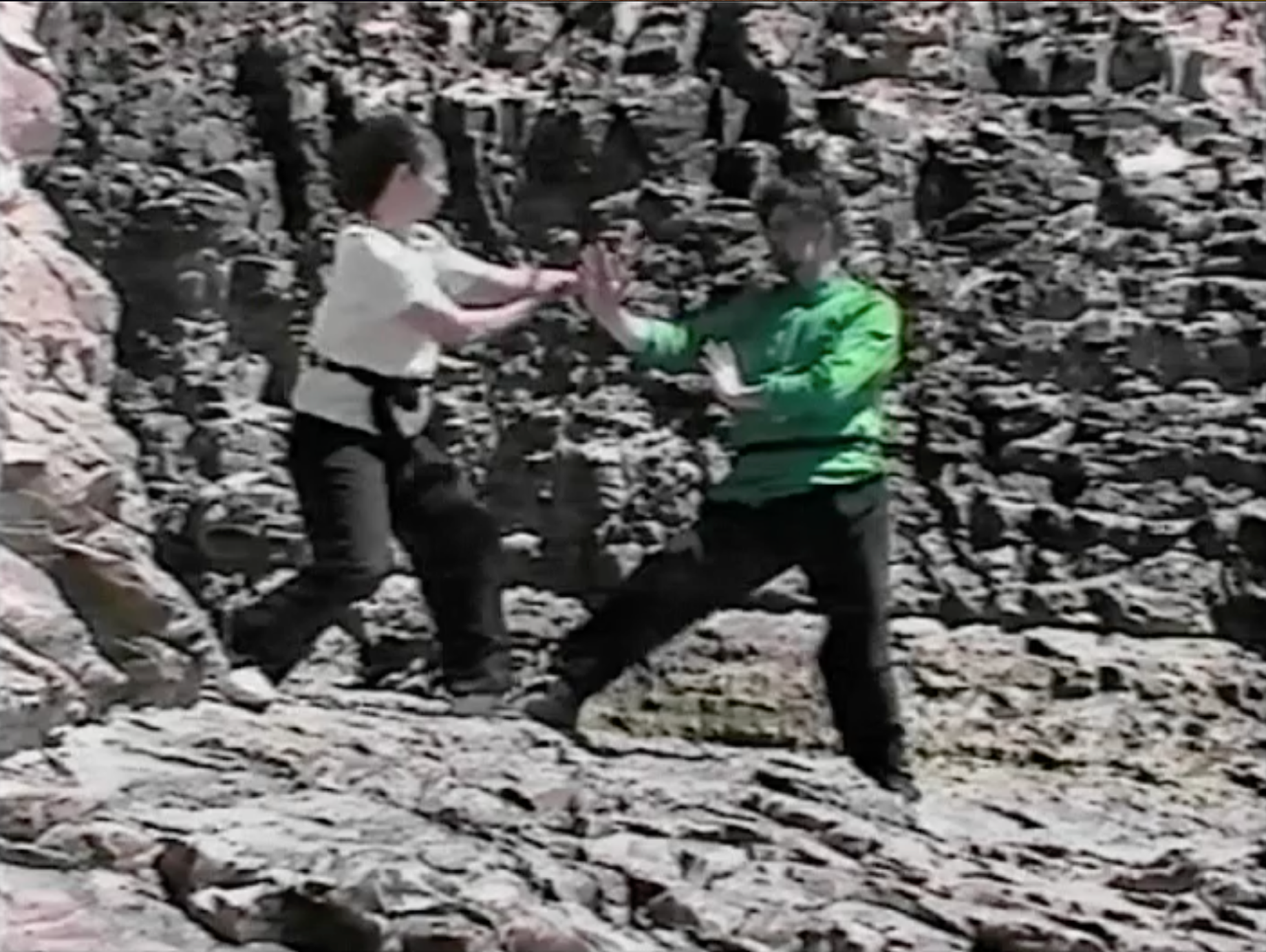 Bagua: The Art of Change DVD 1 by Ted Mancuso (Used) - Learn Ancient Chinese Martial Arts for Self-Defense & Meditation at Home
