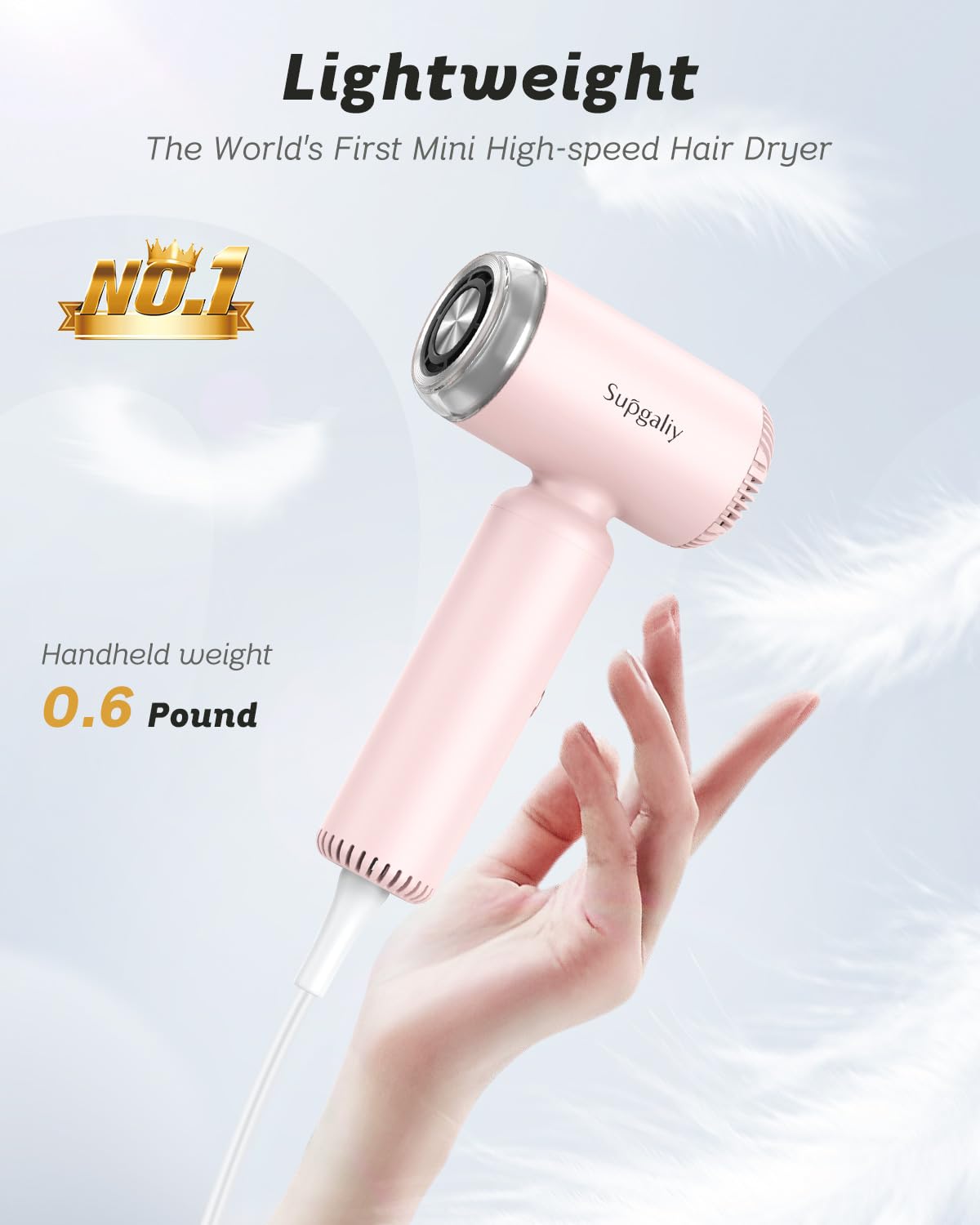 Professional Ionic Hair Dryer 110V - High Speed Motor for Fast Drying, Lightweight & Quiet Blow Dryer with Magnetic Diffuser & Concentrator | Perfect for Home Use & Travel Styling