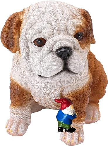 Cute Dog