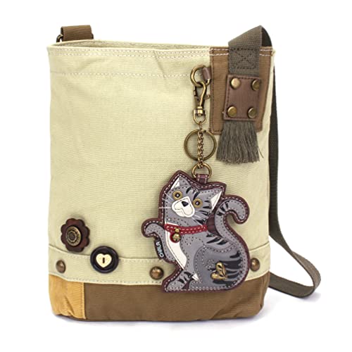 Gray Tabby Cat - Sand