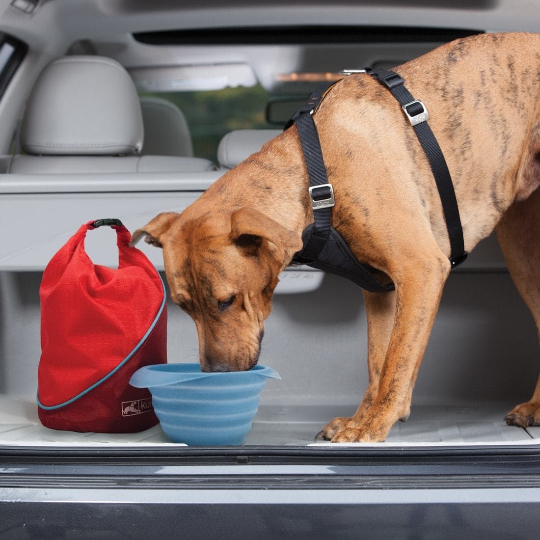 Kurgo Portable Dog Food Storage Bag - Kibble Carrier in Blue | Ideal for Travel, Hiking & Outdoor Adventures with Your Pet