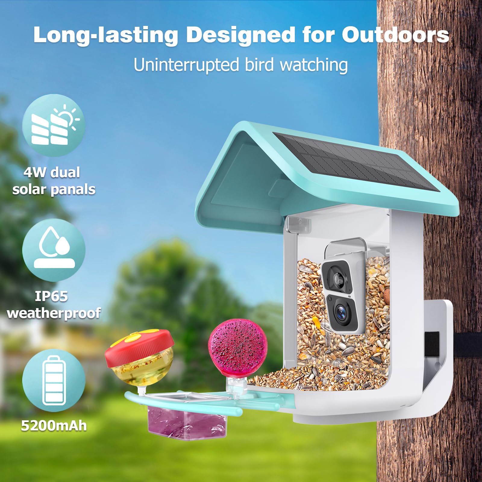 Solar Powered Smart Bird Feeder with 2K Camera - AI Bird Identification, Auto Video Capture, 2.4GHz WiFi Live Feed for Backyard Bird Watching | Perfect Gift for Bird Lovers, Parents & Nature Enthusiasts | Monitor Wildlife in Your Garden or Patio