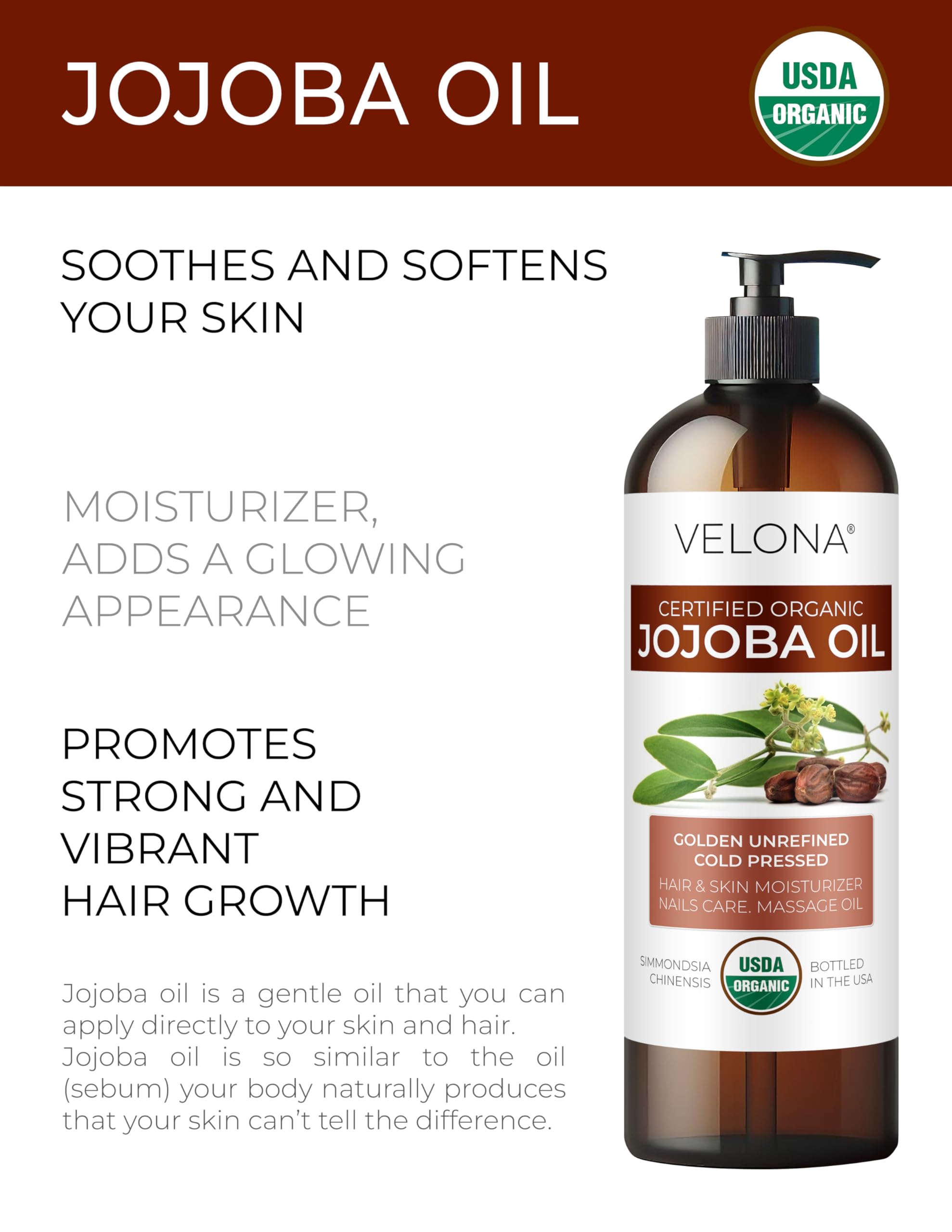 Velona Organic Jojoba Oil 8 Fl Oz (With Pump) - 100% Pure Unrefined Cold Pressed Natural Oil for Face, Hair, Body & Skin Care - Moisturizes Dry Skin, Reduces Stretch Marks & Nourishes Cuticles - Perfect for Daily Beauty Routine & Massage Therapy