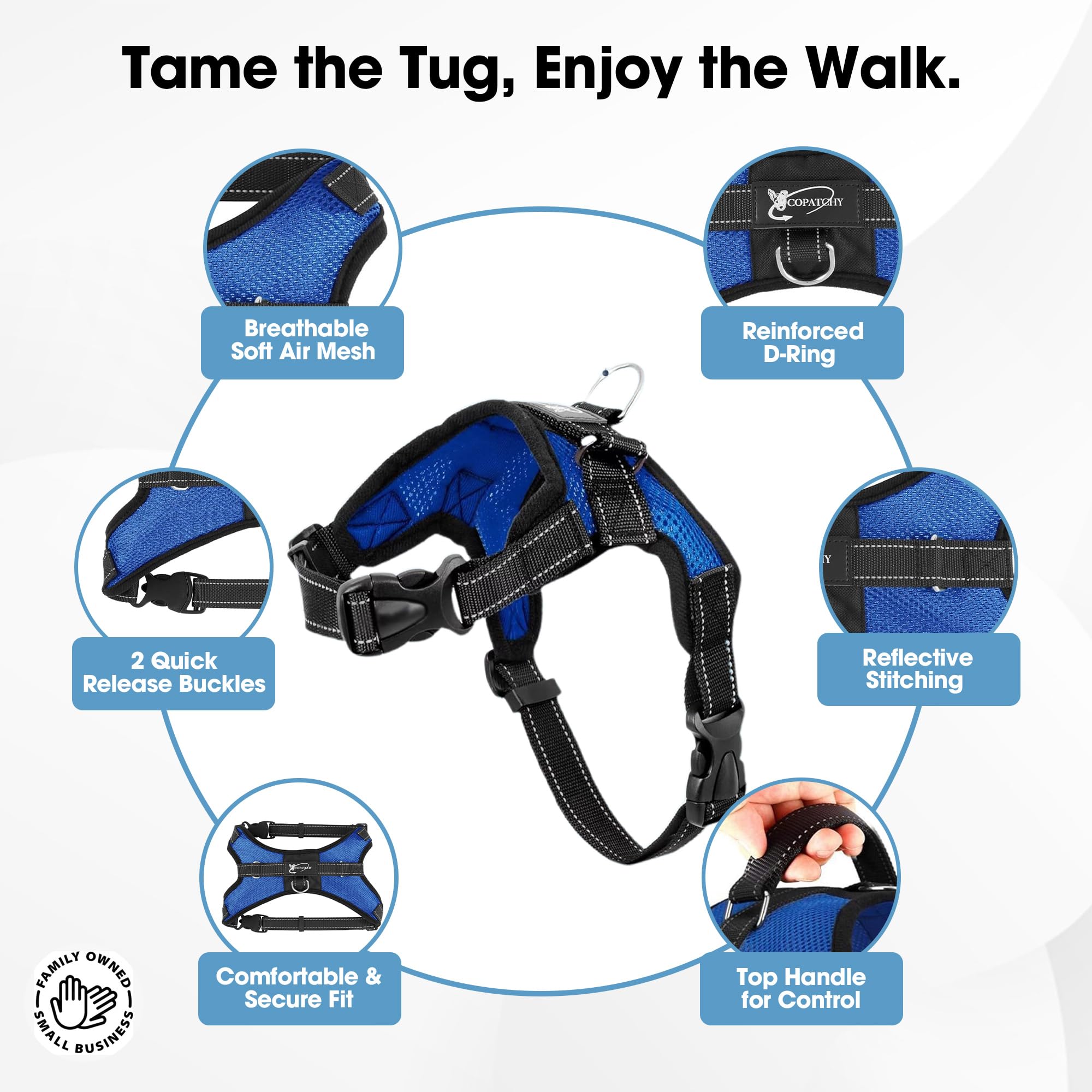 No Pull Reflective Adjustable Dog Harness with Handle - Comfortable Soft All-Weather Mesh Vest for Small Medium Large Dogs - Easy On Puppy Harness for Walking Running Hiking Training (Blue, X-Small)