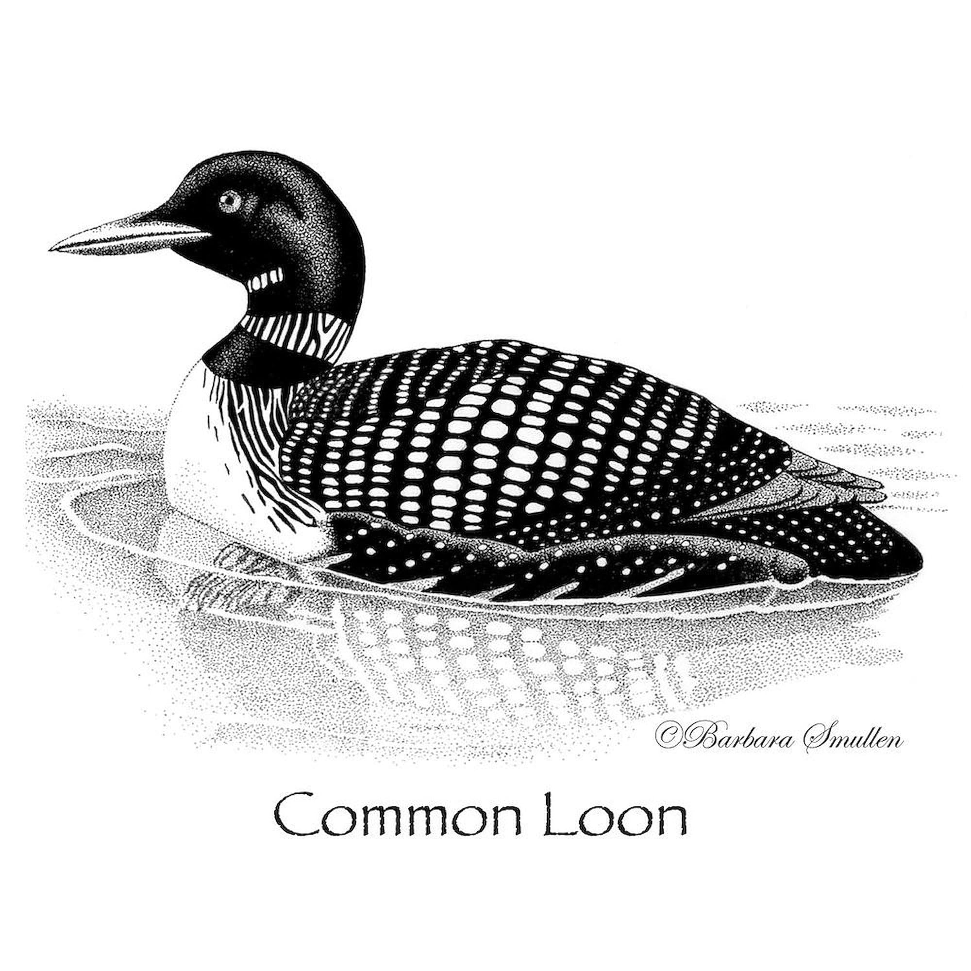Common Loon 11 oz (325 ml) Ceramic Coffee Mug - Perfect for Hot Tea, Coffee & Office Use - Durable White Gift Mug with Vibrant Wildlife Design