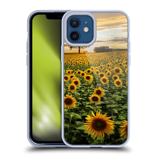 Big Sunflower Field