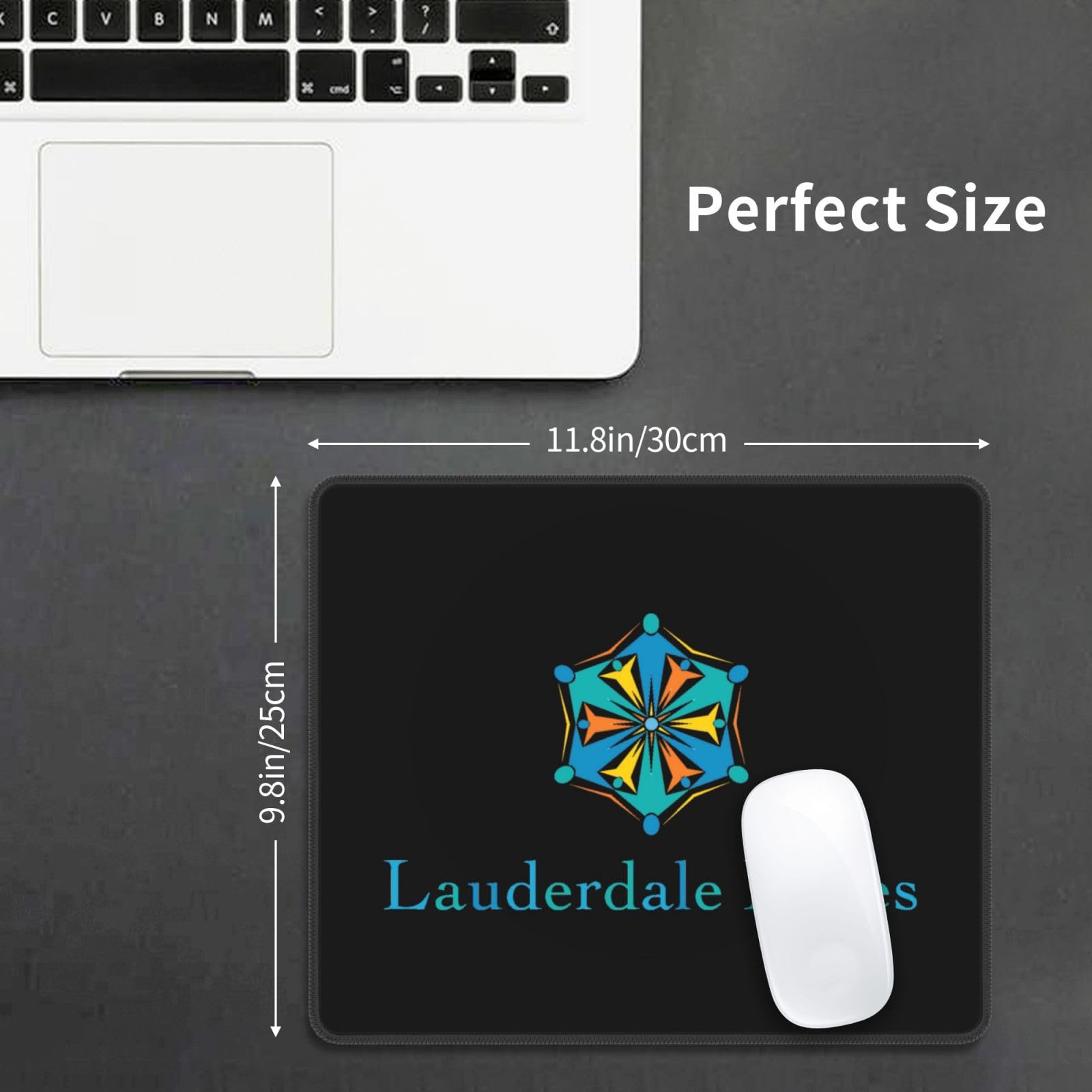 SIYTUAU Florida Lauderdale Lakes Seal Mouse Pad - 10x12 Inch Waterproof Non-Slip Rubber Office & Gaming Mousepad for Laptop & Computer - Perfect for Work, Gaming & Home Office Use