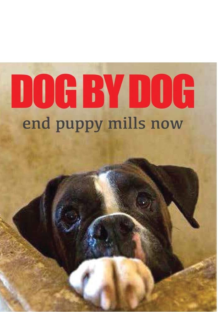 Dog By Dog [Blu-ray] - Award-Winning Documentary About Puppy Mills | Perfect for Animal Lovers & Documentary Enthusiasts | Great for Movie Nights & Educational Screenings