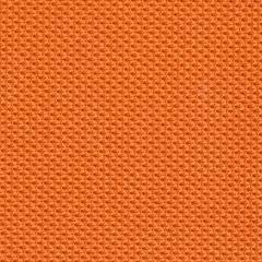 Tangerine Fabric