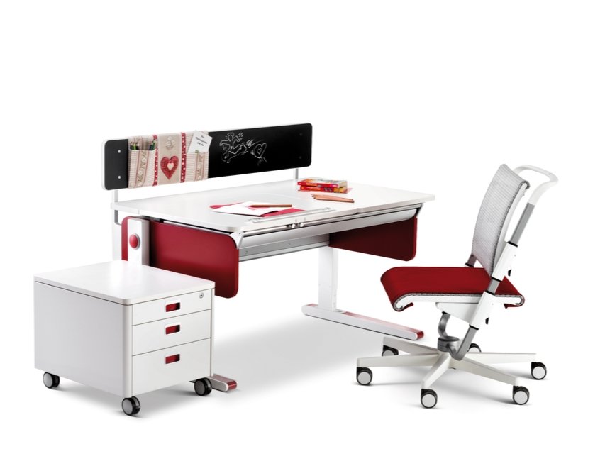 Champion Moll Panel - Premium Quality & Durable for Home, Office & Outdoor Use