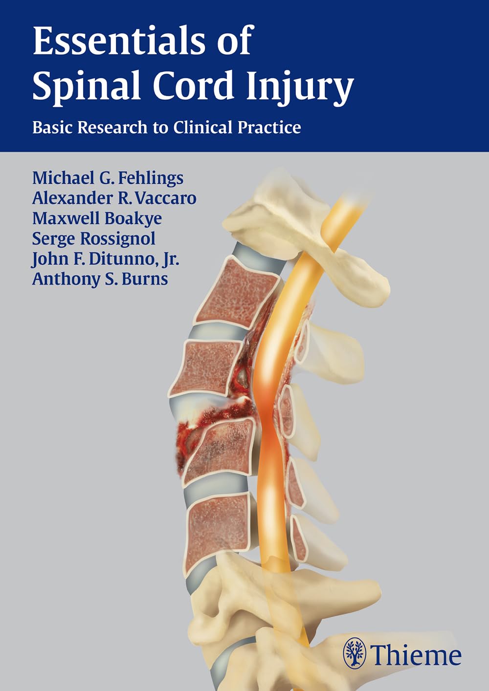 Essentials of Spinal Cord Injury: From Basic Research to Clinical Practice - Comprehensive Guide for Medical Professionals & Rehabilitation Therapists