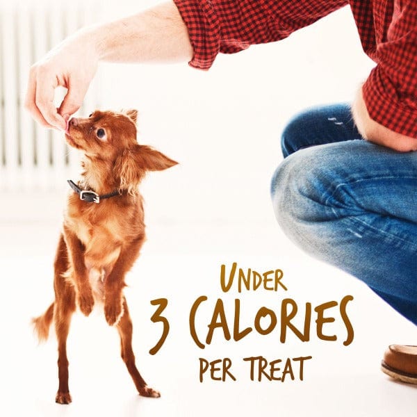 Fruitables Skinny Minis Rotisserie Chicken Flavor Dog Treats - Low Calorie Training Snacks for Small & Medium Dogs - Perfect for Reward, Obedience Training & On-the-Go Treats