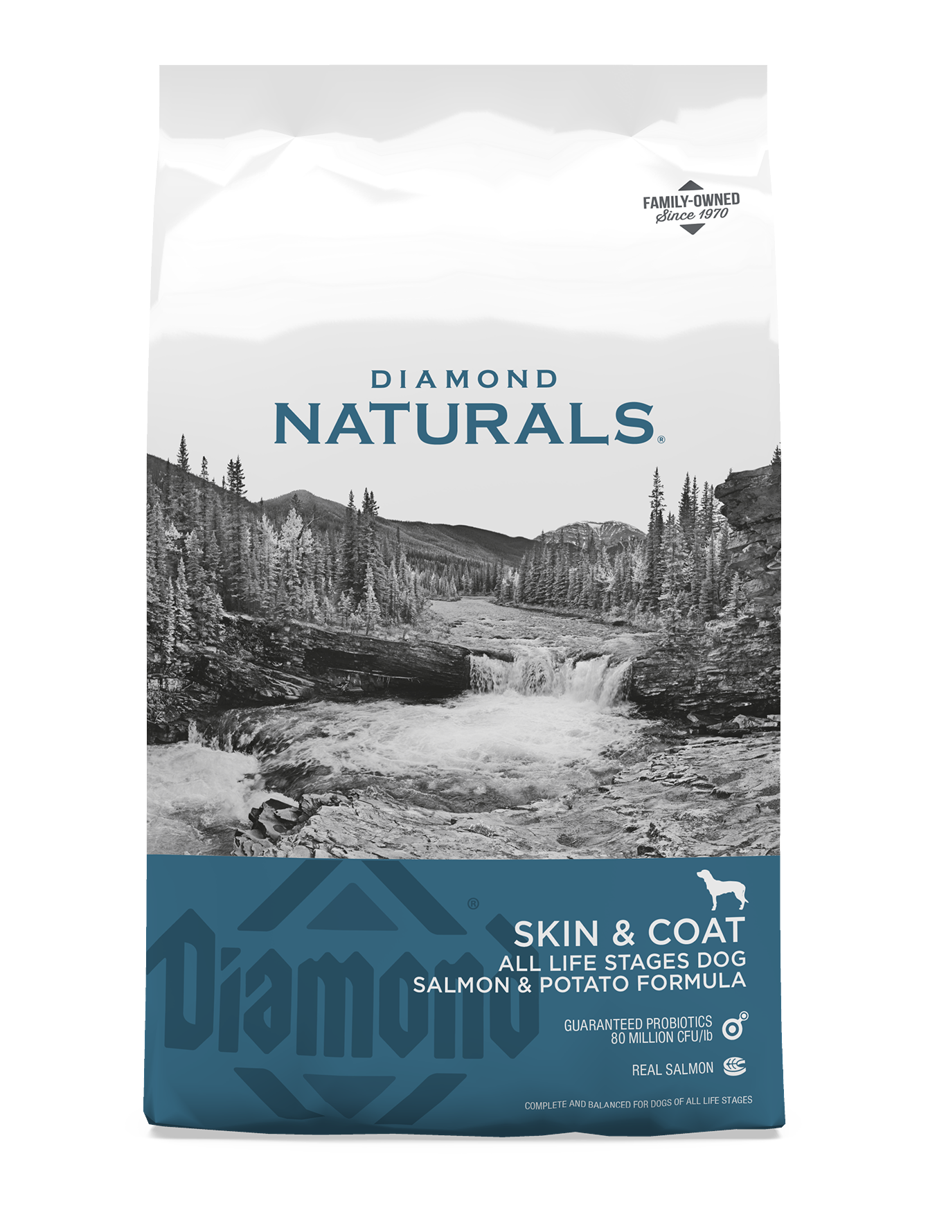 Diamond Naturals Skin & Coat Salmon & Potato Dry Dog Food - 6oz Sample Pack for Small & Medium Dogs | Grain-Free Formula for Healthy Skin & Shiny Coat | Perfect for Travel, Training & Treats
