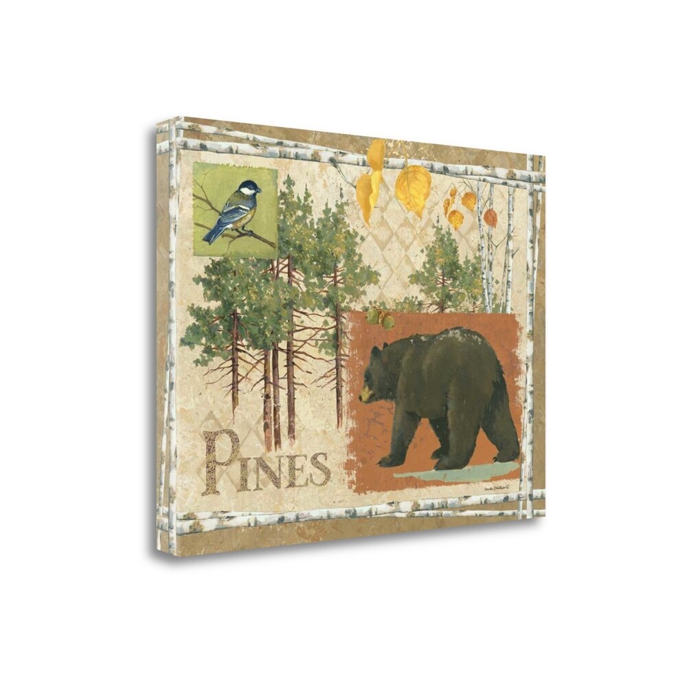 Bl Bear Pines by Anita Phillips - Premium Giclee Art Print on Gallery Wrapped Canvas, Ready to Hang Wall Decor for Living Room, Bedroom & Office