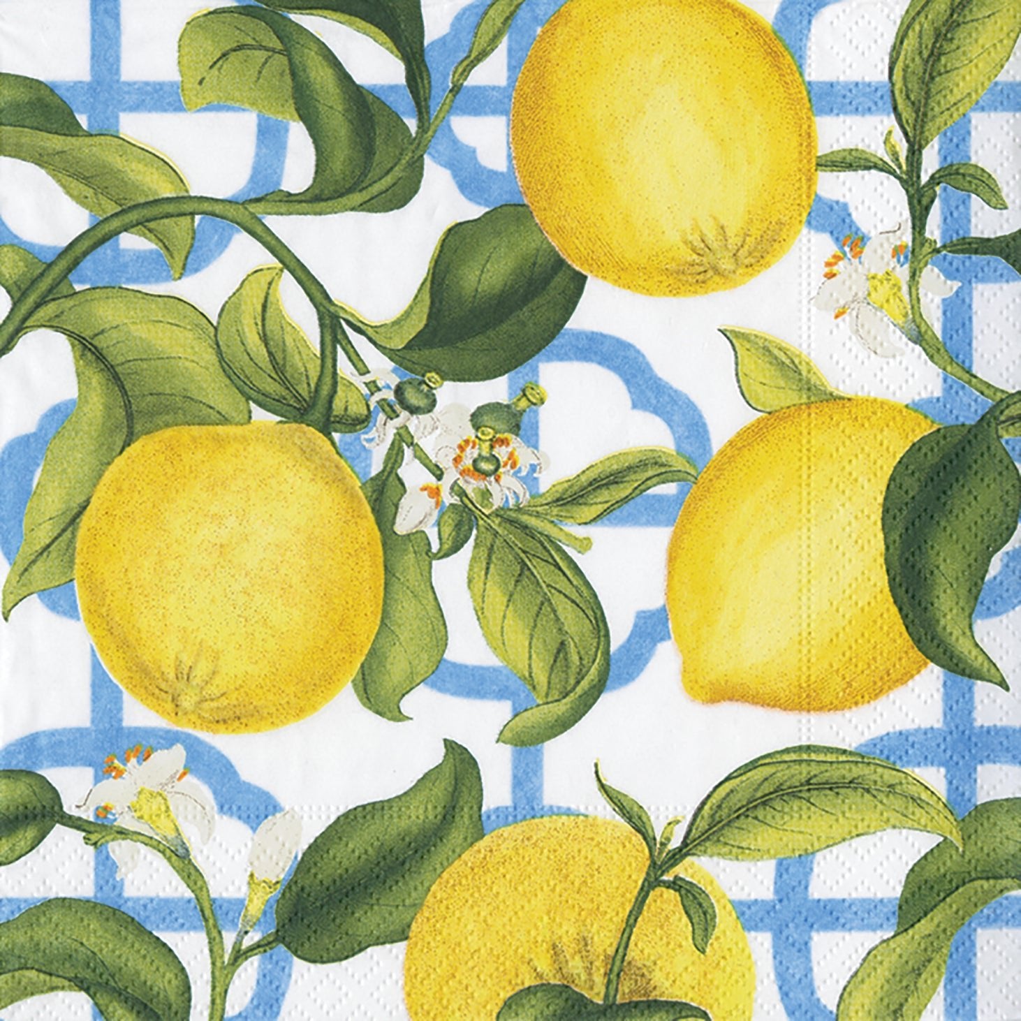 Premium Seville Paper Cocktail Napkins by Caspari - Elegant Disposable Drink Napkins for Parties, Weddings & Home Entertaining
