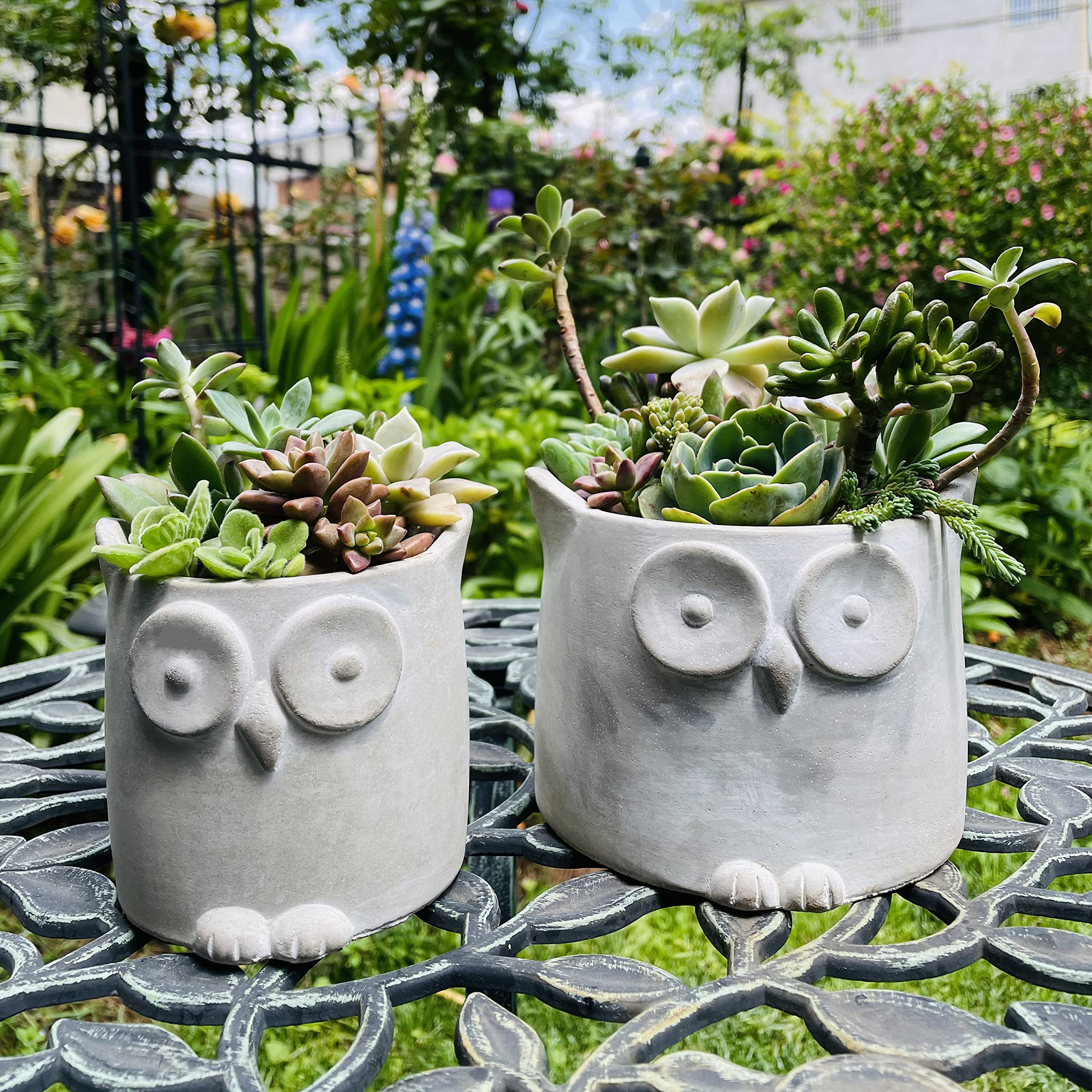Zoowalker Owl-Shaped Concrete Planters with Drainage Hole - 3.9 & 5.3 Inch Set for Indoor/Outdoor Plants, Succulents, Aloe Vera (Plants Not Included) - Perfect for Home Decor, Office Desk, Garden & Patio