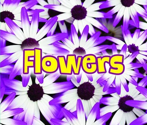 All About Flowers - Acorn: All About Plants | Educational Book for Kids About Flower Types, Growth & Gardening | Perfect for Classroom Learning & Nature Exploration