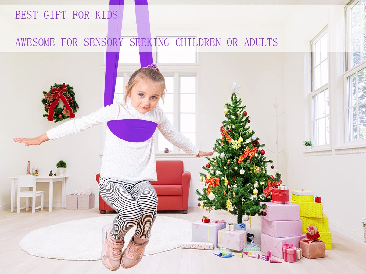 **Sensory Swing for Kids & Adults - Indoor/Outdoor Therapy Hammock with Calming Effect for ADHD, Autism & Special Needs - Purple (59