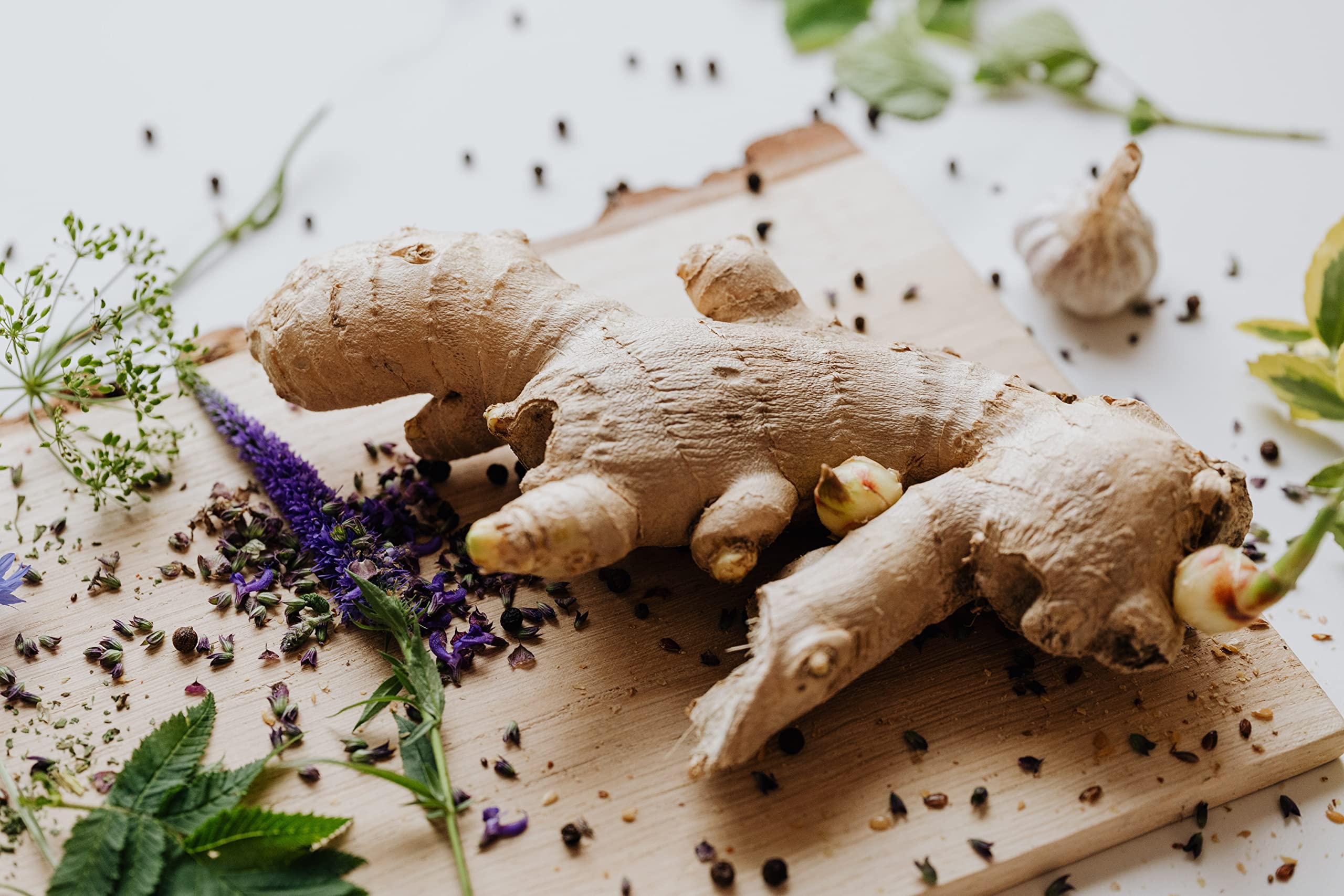 Organic Fresh Ginger Root Plants for Sale - Grow Your Own Ginger for Sushi, Cooking & Healthy Recipes | Perfect for Home Gardens, Indoor Herb Gardens & Asian Cuisine