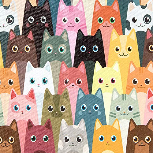 5 Stylish Cat