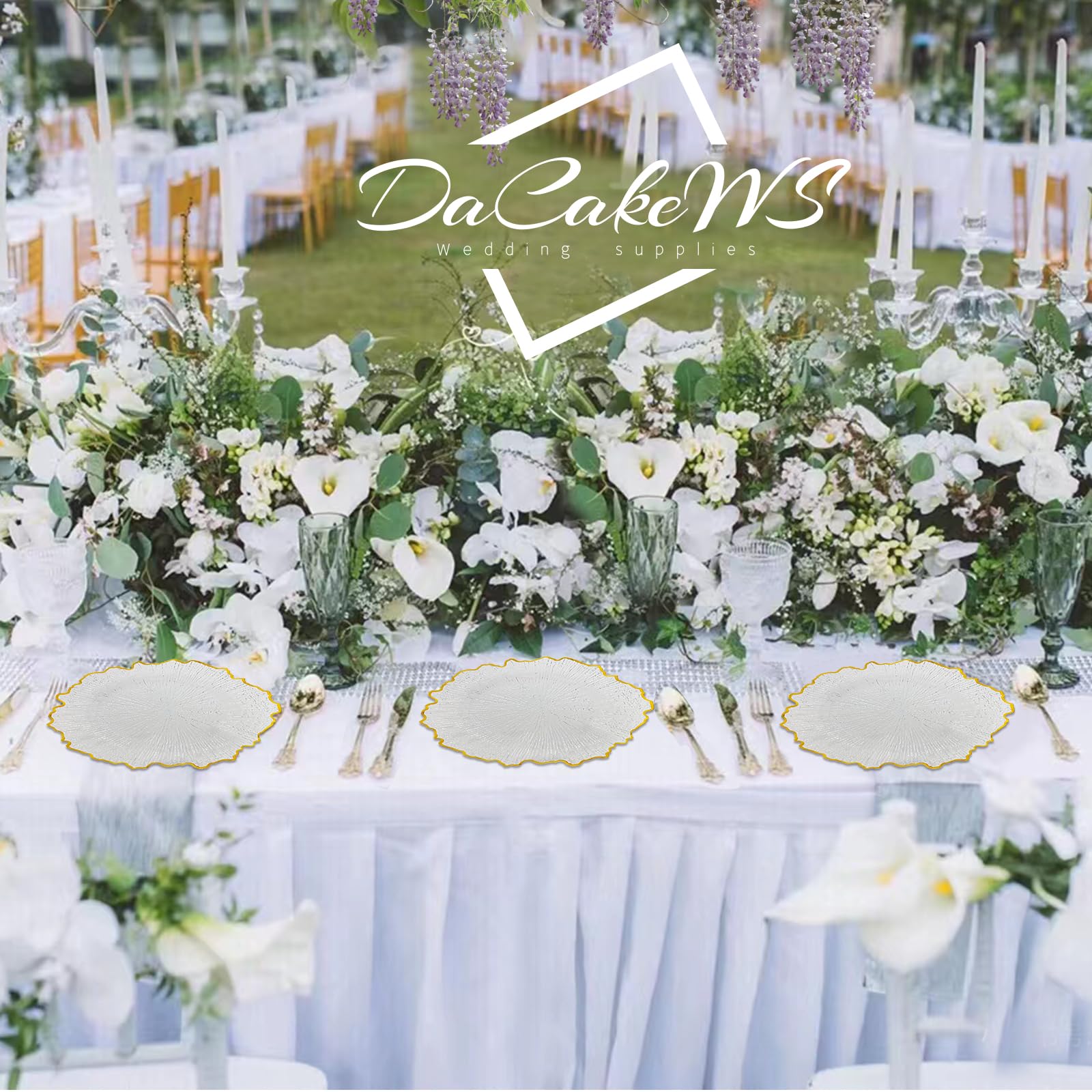 13 Inch Acrylic Gold Rim Reef Charger Plates Set of 10 - Elegant Plastic Floral Wedding Dinner Plates for Formal Events, Parties & Home Decor (Reef Clear, 10-Piece Set)