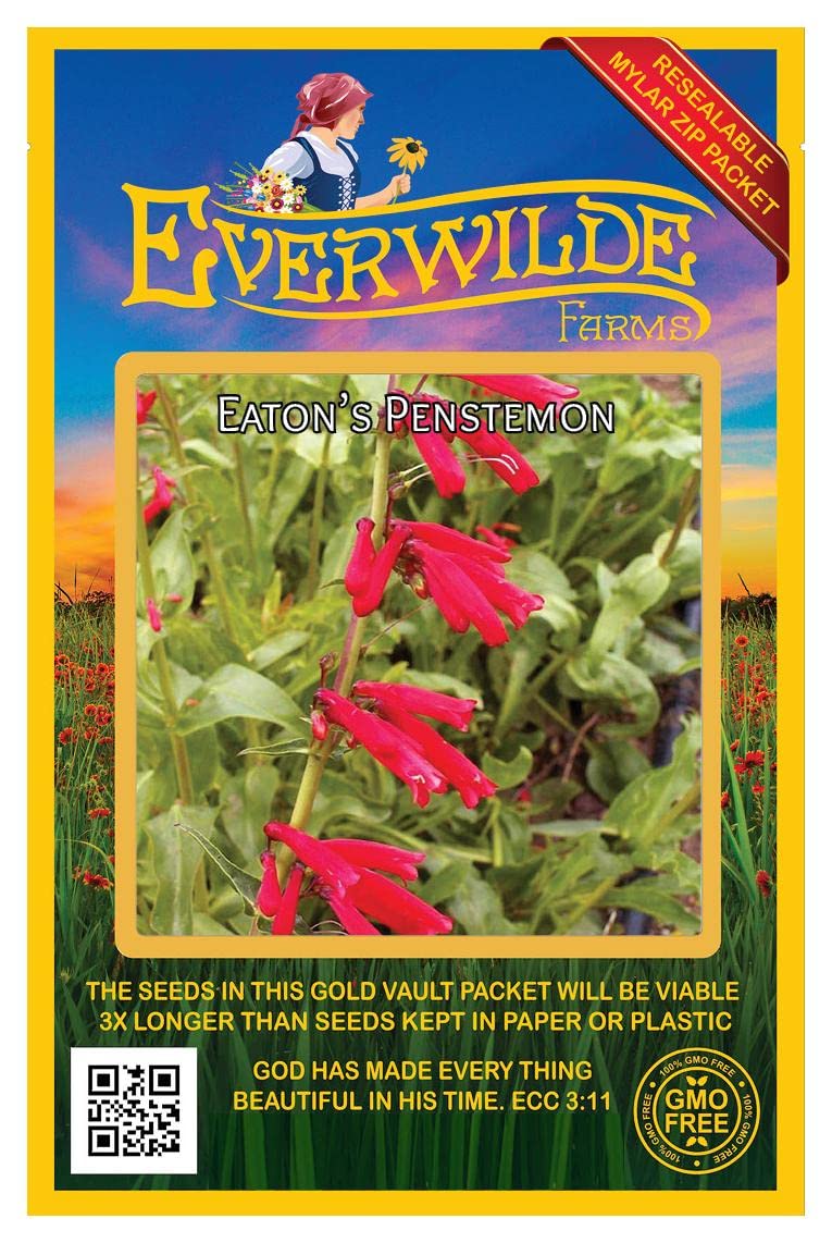 Everwilde Farms - 800 Eaton's Penstemon Native Wildflower Seeds - Gold Vault Seed Packet for Pollinator Gardens, Landscaping & DIY Projects