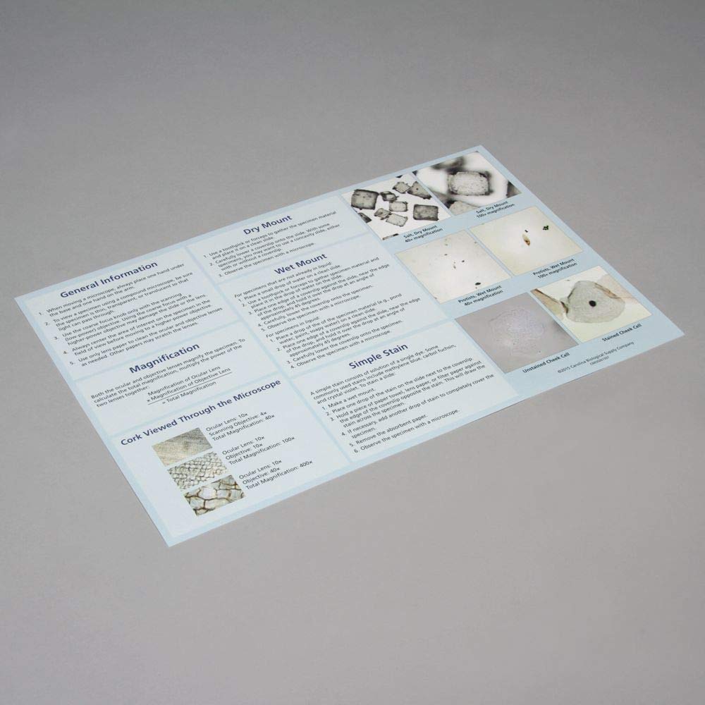 Carolina Introduction To Microscopy Mat - Premium Microscope Slide Mat for Students & Labs | Ideal for Science Classrooms & Biology Experiments