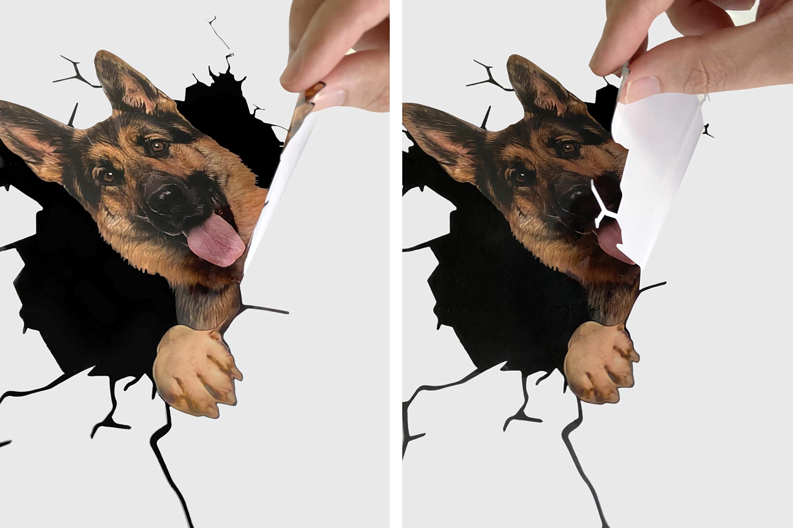 Premium Gordon Setter Car Decals - Pack of 2 Realistic Dog Stickers for Windows & Walls (12
